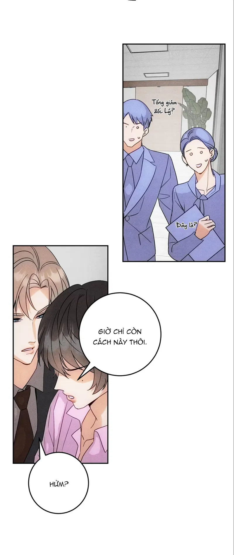 Xuyên Thành Sugar Baby Của Đại Ca Alpha Chapter 12 - Trang 2