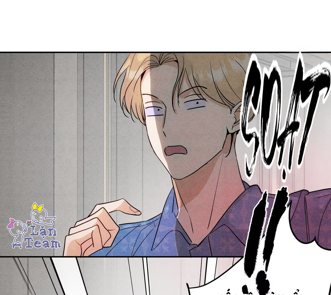 Xuyên Thành Sugar Baby Của Đại Ca Alpha Chapter 22 - Trang 2