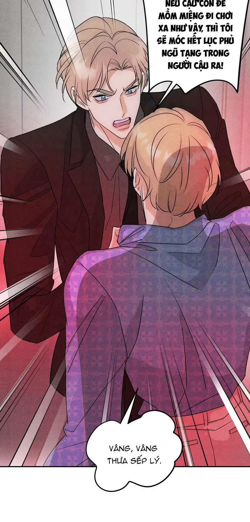 Xuyên Thành Sugar Baby Của Đại Ca Alpha Chapter 22 - Trang 2