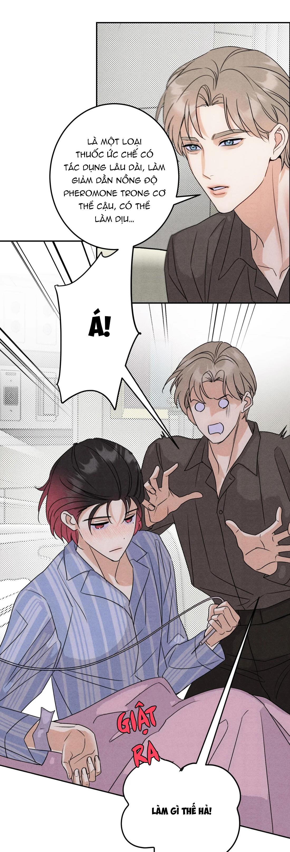Xuyên Thành Sugar Baby Của Đại Ca Alpha Chapter 23 - Trang 2