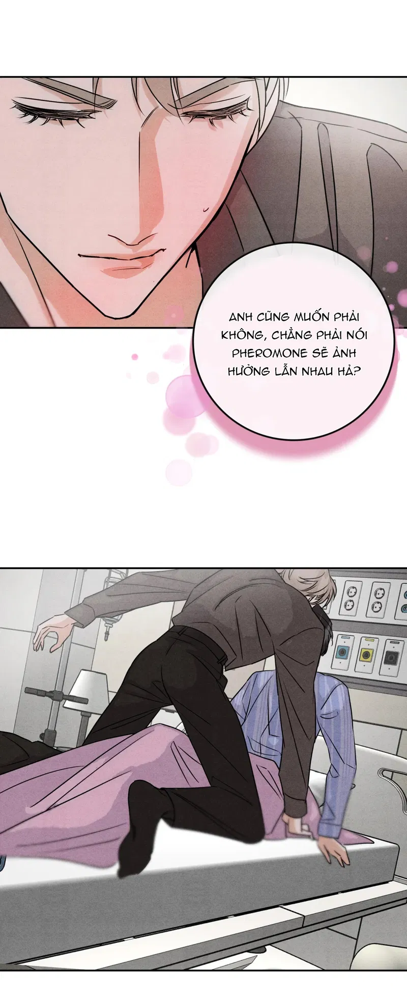 Xuyên Thành Sugar Baby Của Đại Ca Alpha Chapter 23 - Trang 2