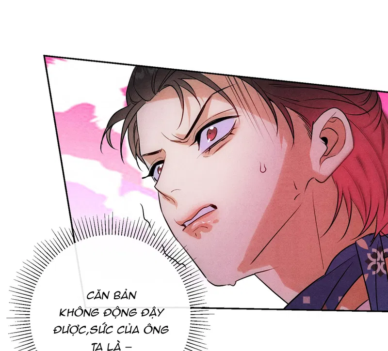 Xuyên Thành Sugar Baby Của Đại Ca Alpha Chapter 25 - Trang 2