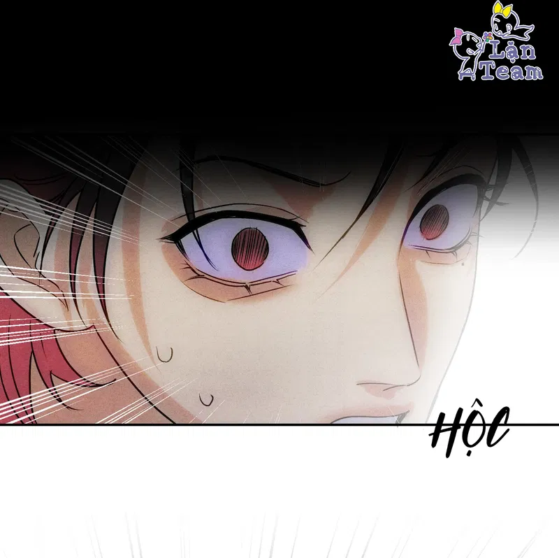 Xuyên Thành Sugar Baby Của Đại Ca Alpha Chapter 25 - Trang 2