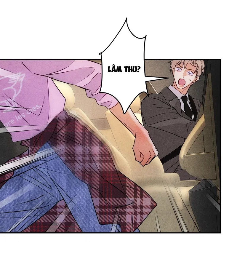 Xuyên Thành Sugar Baby Của Đại Ca Alpha Chapter 25 - Trang 2