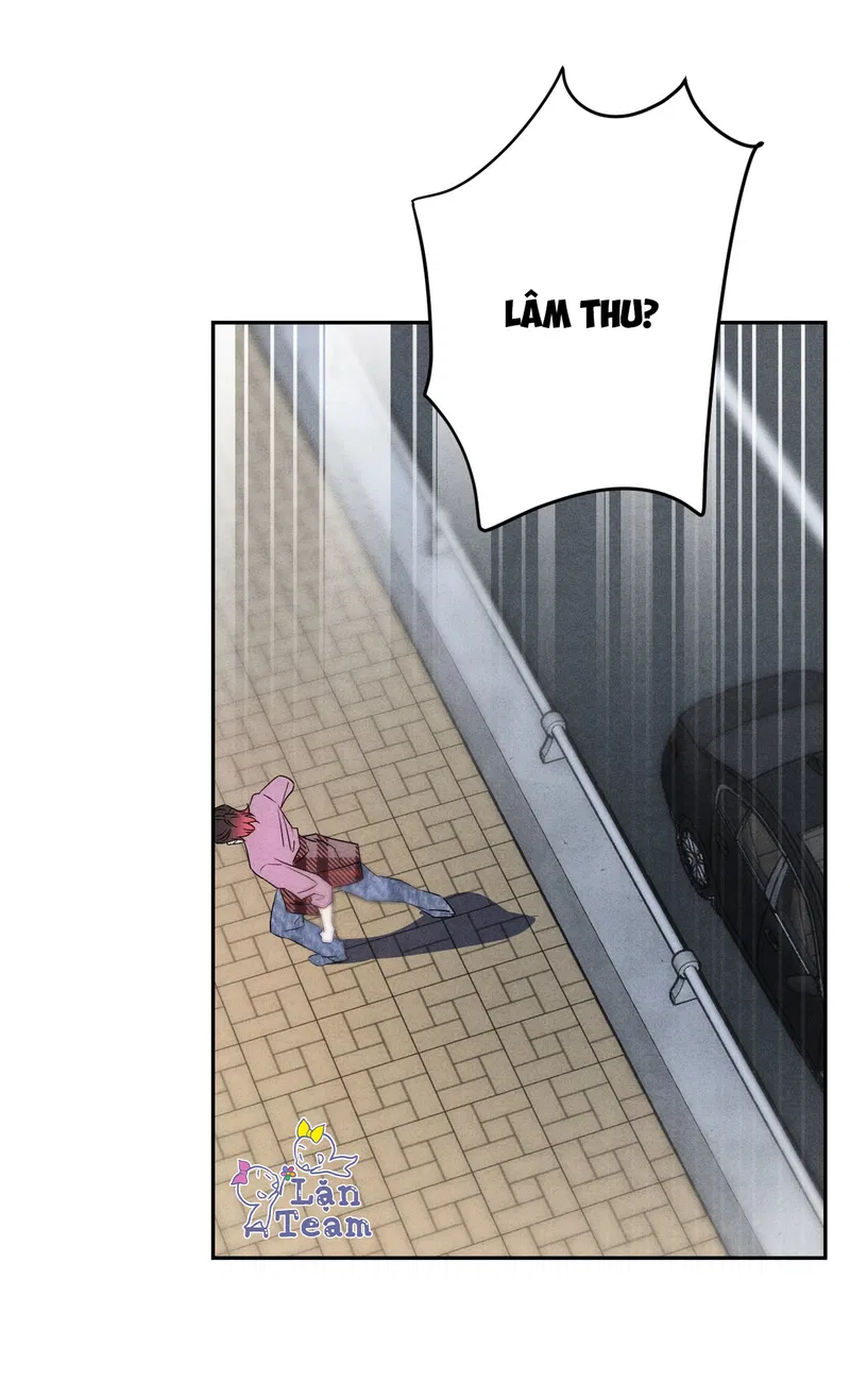 Xuyên Thành Sugar Baby Của Đại Ca Alpha Chapter 25 - Trang 2