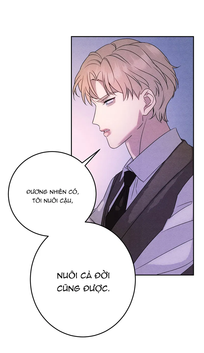 Xuyên Thành Sugar Baby Của Đại Ca Alpha Chapter 27 - Next Chapter 27