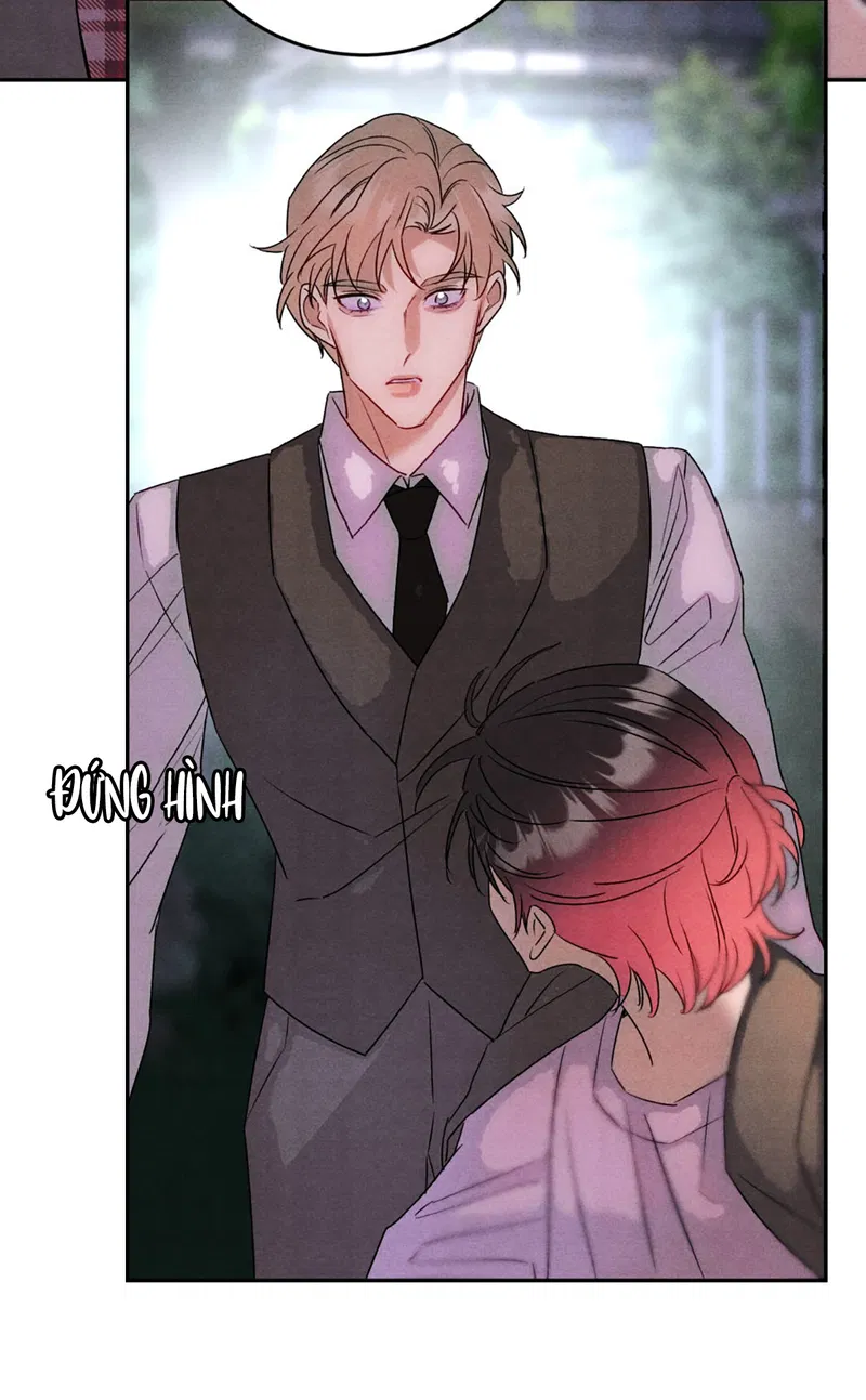 Xuyên Thành Sugar Baby Của Đại Ca Alpha Chapter 27 - Next Chapter 27