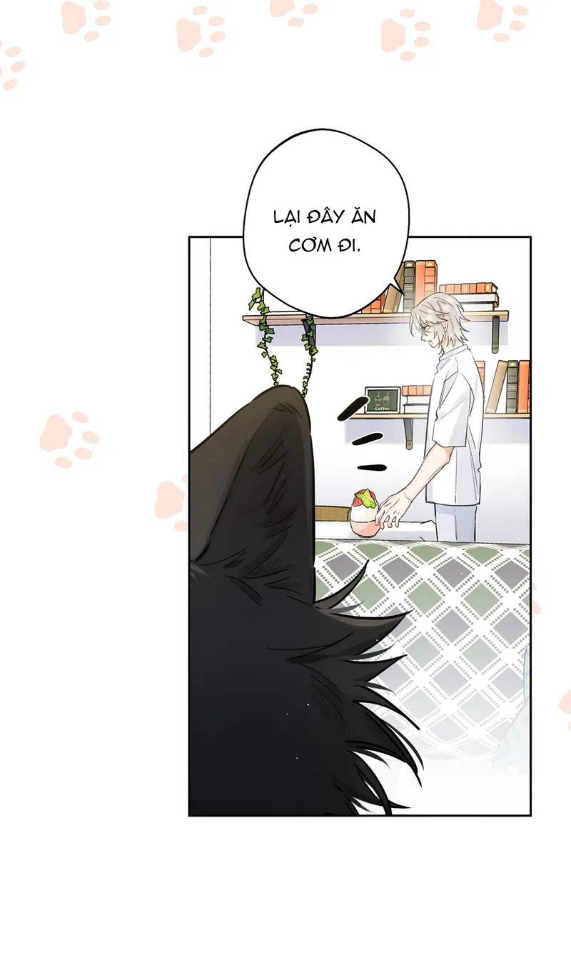Sói Vương Muốn Chịu Trách Nhiệm Với Tui Chapter 10 - Next 