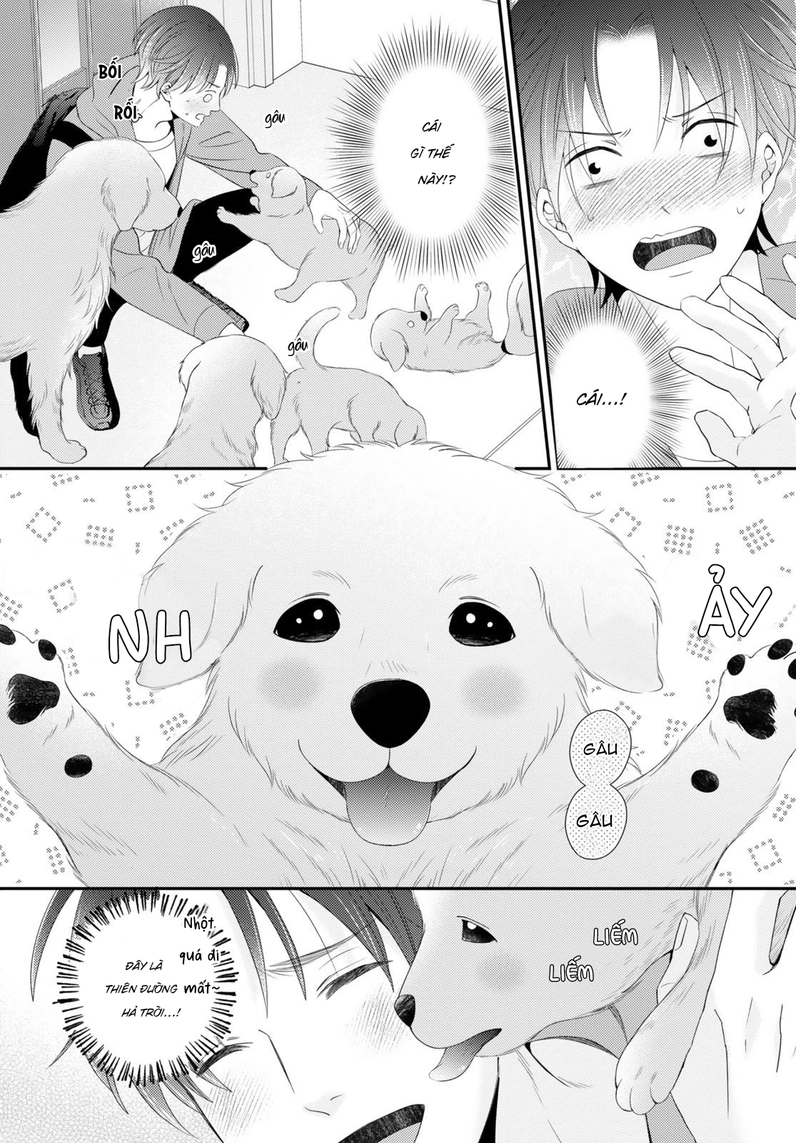 Cuộc Hôn Nhân Lý Tưởng: Tôi Được Mai Mối Với Một Chú Chó Chapter 5 - Trang 2