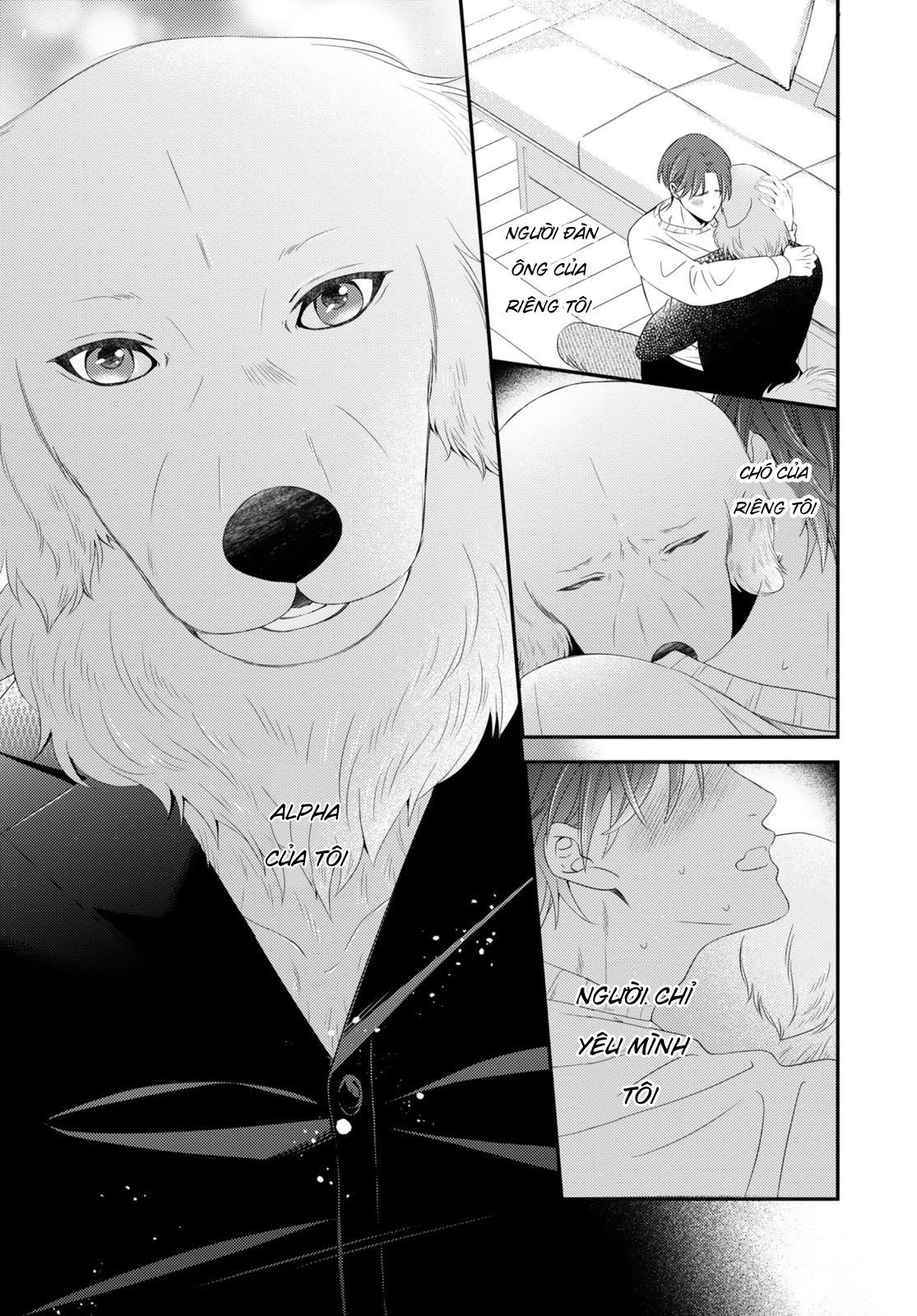 Cuộc Hôn Nhân Lý Tưởng: Tôi Được Mai Mối Với Một Chú Chó Chapter 5 - Trang 2