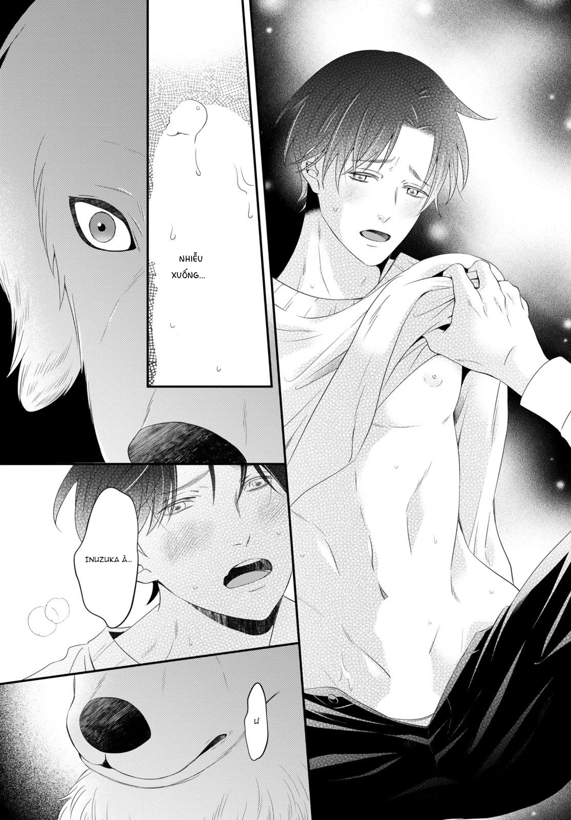 Cuộc Hôn Nhân Lý Tưởng: Tôi Được Mai Mối Với Một Chú Chó Chapter 5 - Trang 2