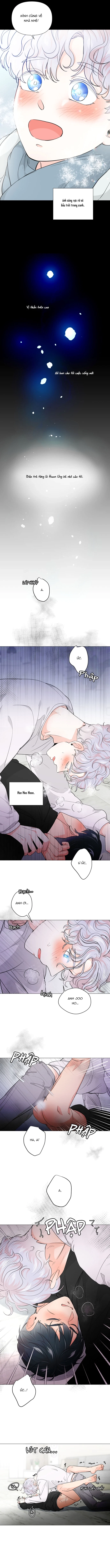 Chiếc Bánh Sinh Nhật Của Hổ Chapter 2 H - Next Chapter 3 H+