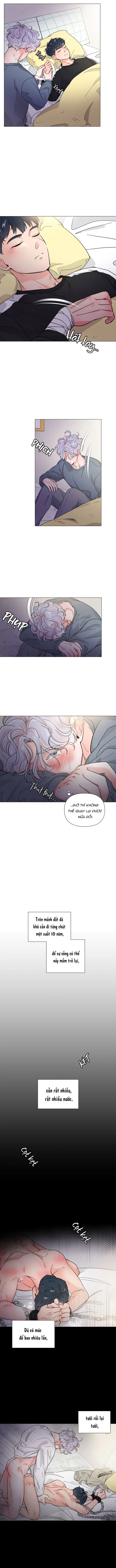 Chiếc Bánh Sinh Nhật Của Hổ Chapter 5 H+ - Trang 2