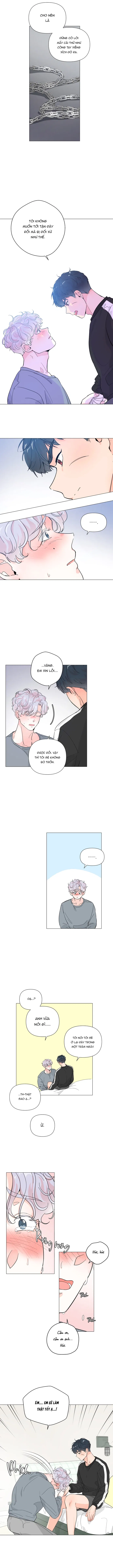 Chiếc Bánh Sinh Nhật Của Hổ Chapter 6 - Trang 2