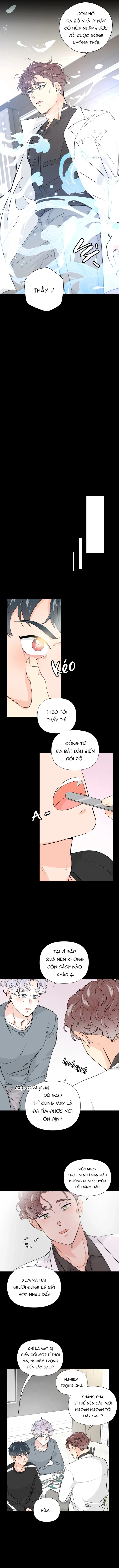 Chiếc Bánh Sinh Nhật Của Hổ Chapter 7 H - Trang 2