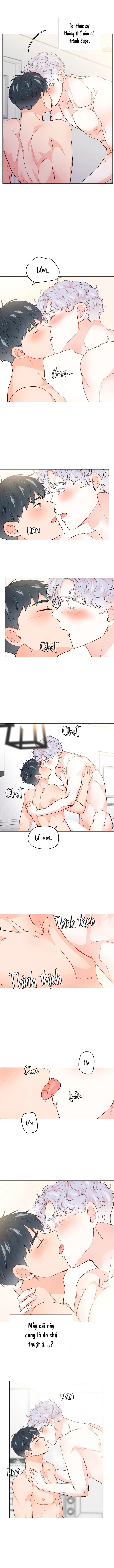 Chiếc Bánh Sinh Nhật Của Hổ Chapter 8 H+ - Trang 2