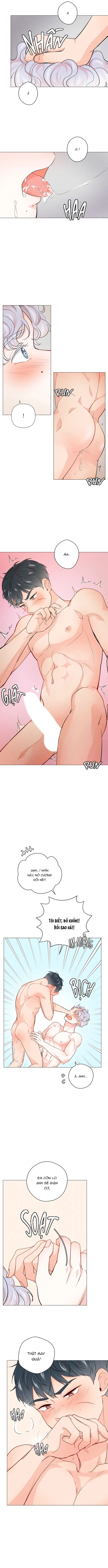 Chiếc Bánh Sinh Nhật Của Hổ Chapter 9 H++ - Next 