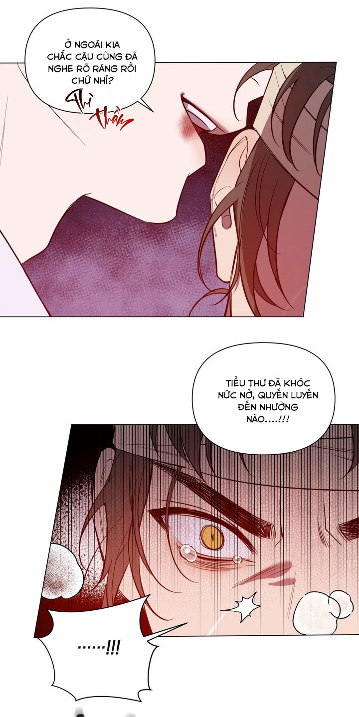 Khúc Tình Ca Vô Tình Chapter 3 - Next Chapter 4 H+
