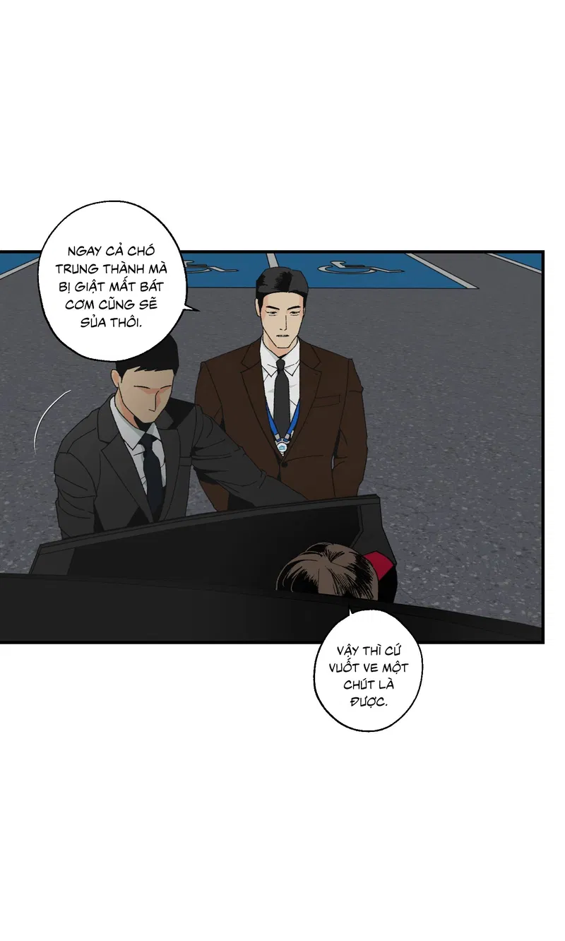 Bình Yên Dưới Chân Người Chapter 10 - Next 