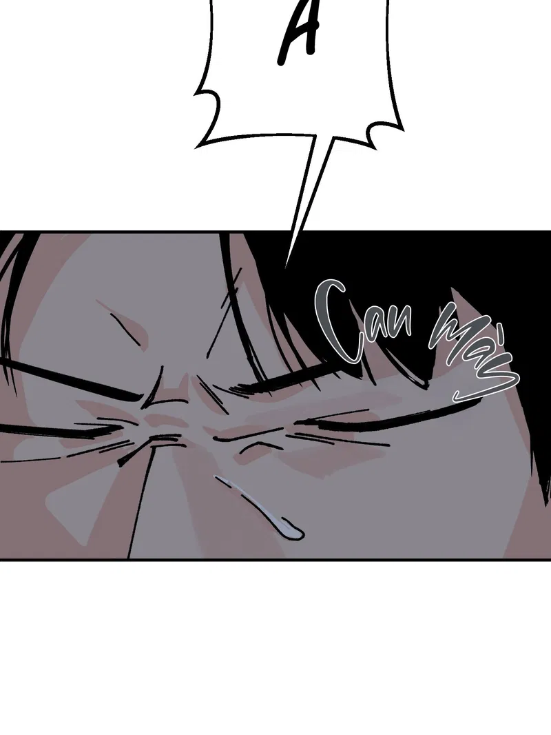 Bình Yên Dưới Chân Người Chapter 2 - Next Chapter 3