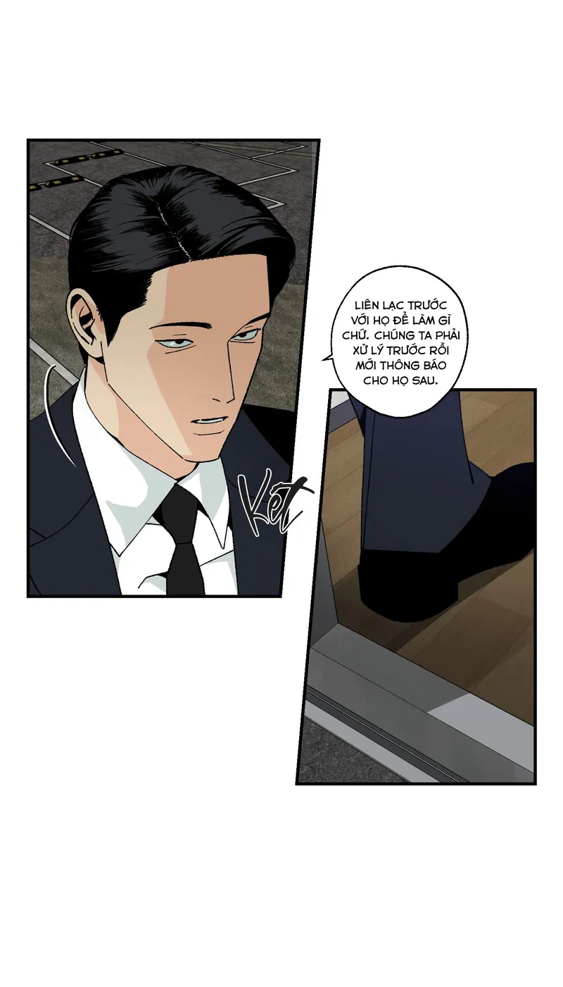 Bình Yên Dưới Chân Người Chapter 2 - Next Chapter 3
