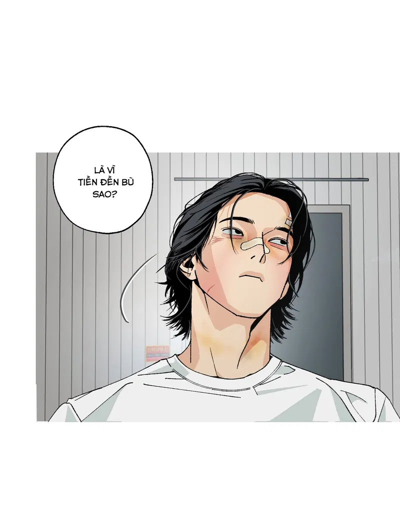 Bình Yên Dưới Chân Người Chapter 3 - Next Chapter 4
