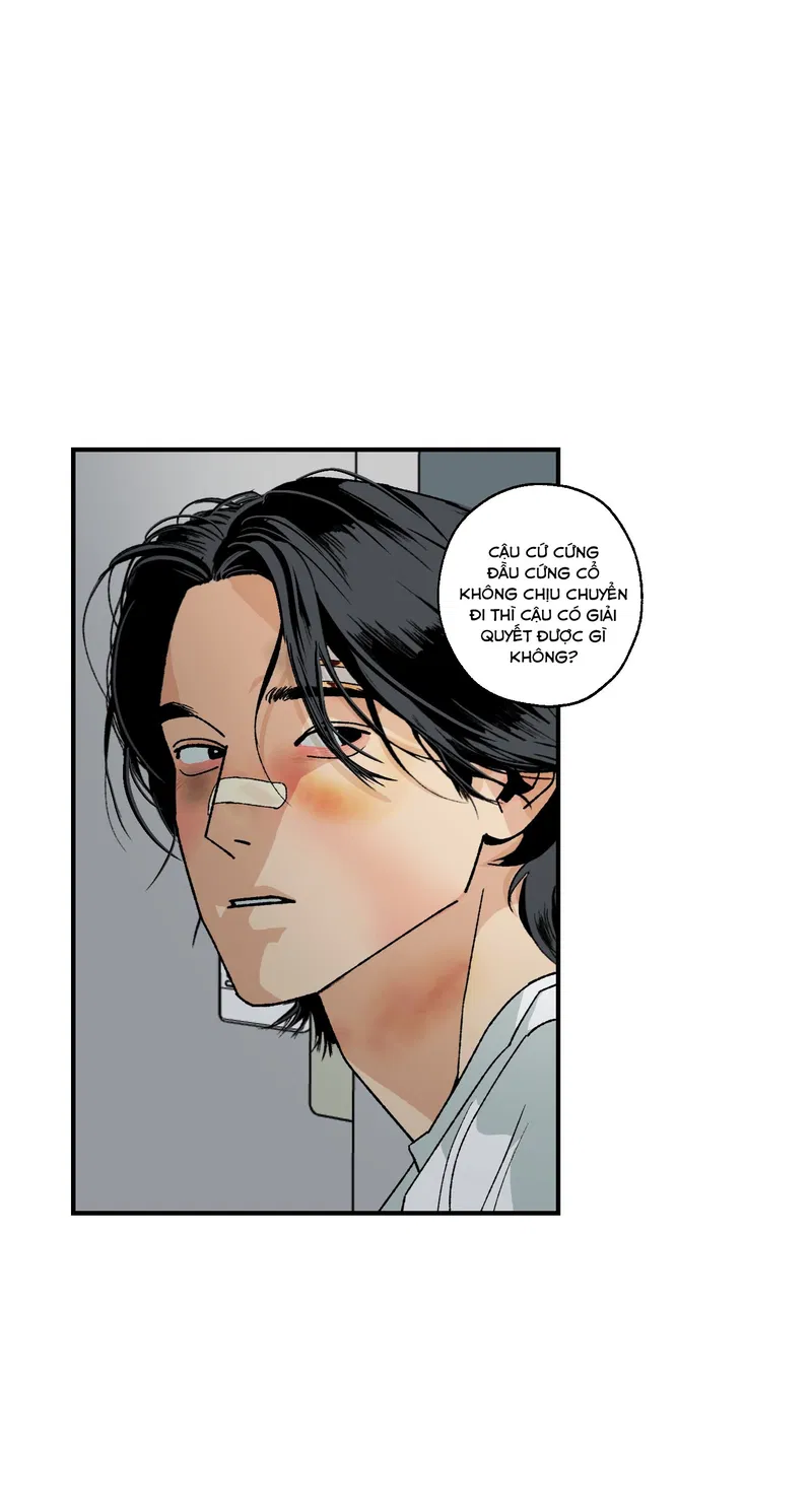Bình Yên Dưới Chân Người Chapter 3 - Next Chapter 4