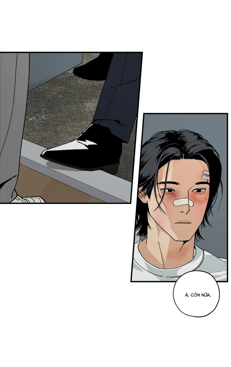 Bình Yên Dưới Chân Người Chapter 3 - Next Chapter 4