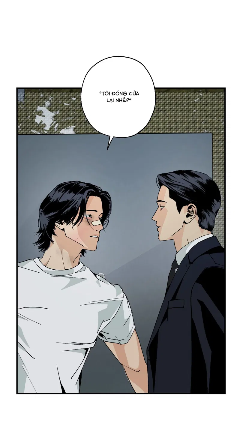 Bình Yên Dưới Chân Người Chapter 3 - Next Chapter 4