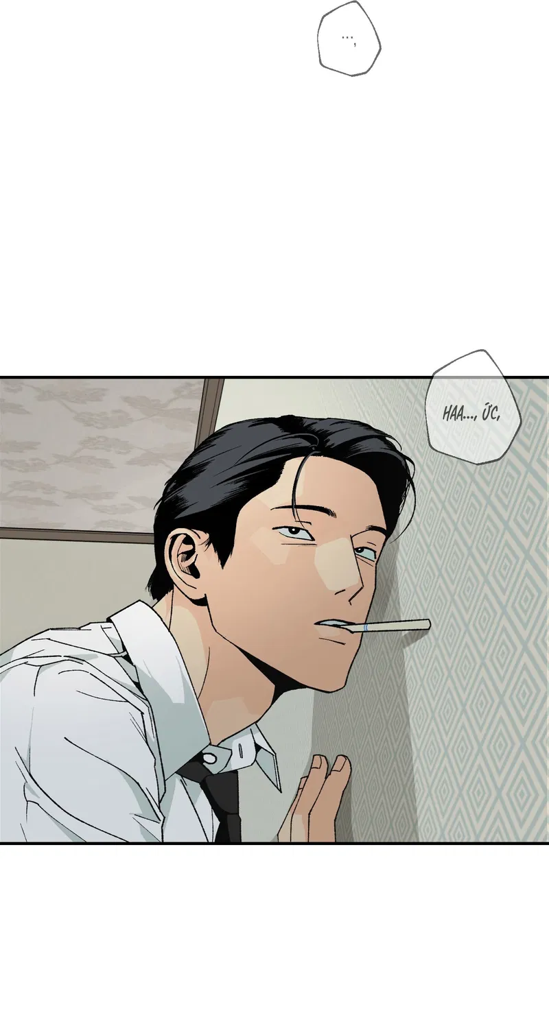 Bình Yên Dưới Chân Người Chapter 3 - Next Chapter 4