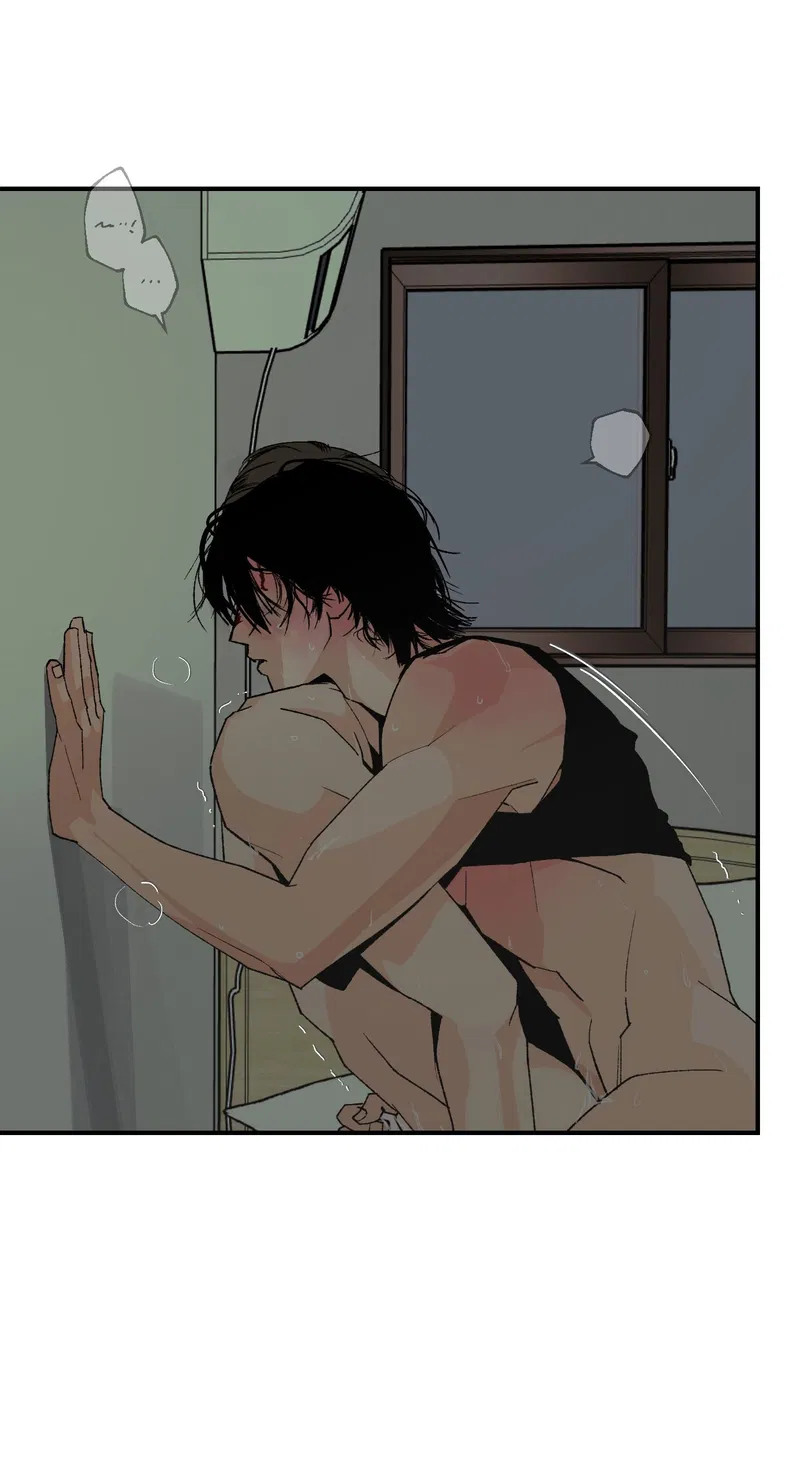 Bình Yên Dưới Chân Người Chapter 3 - Next Chapter 4