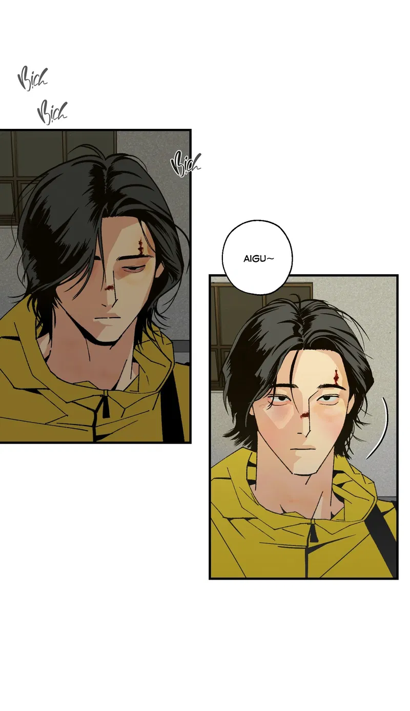 Bình Yên Dưới Chân Người Chapter 4 - Next Chapter 5 Ngang Raw
