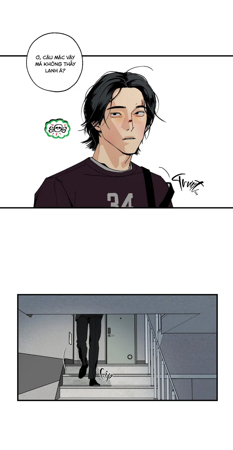 Bình Yên Dưới Chân Người Chapter 4 - Next Chapter 5 Ngang Raw