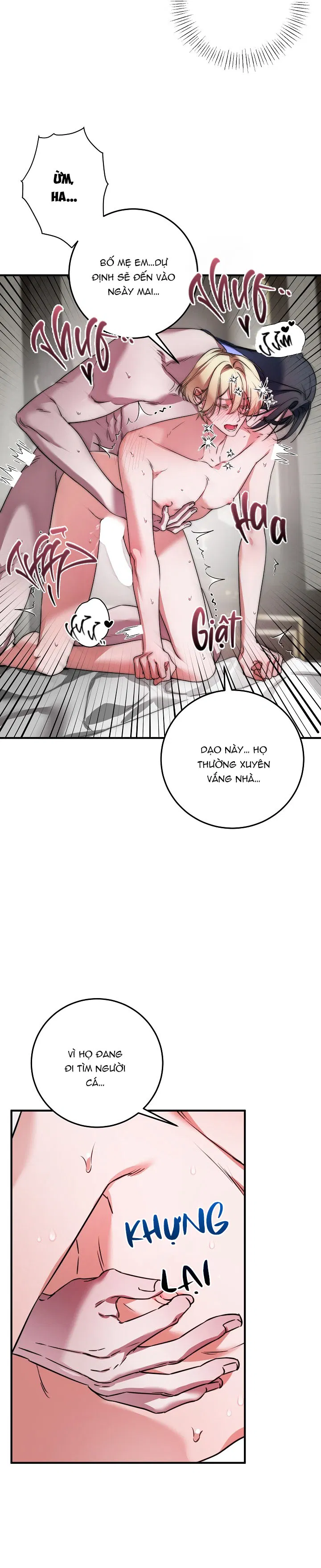 Nhật Ký Của Công Tử Người Cá Chapter 2 - Trang 2