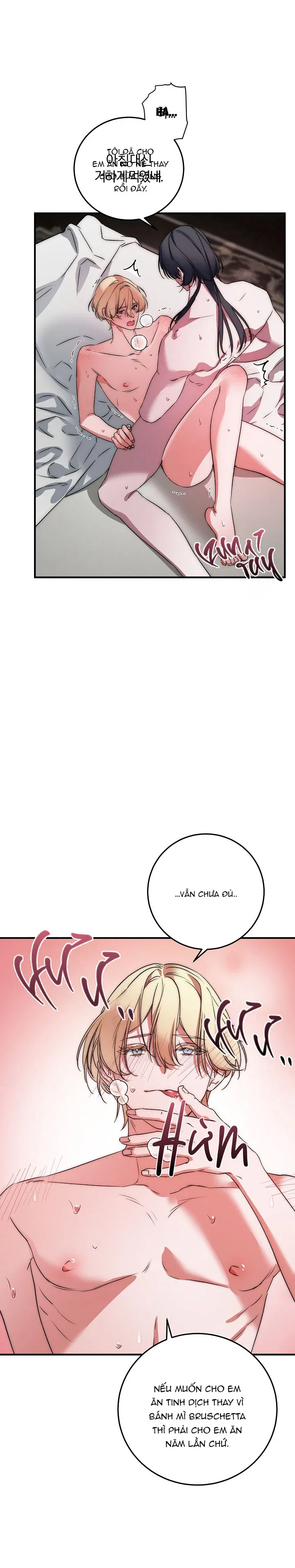 Nhật Ký Của Công Tử Người Cá Chapter 2 - Trang 2
