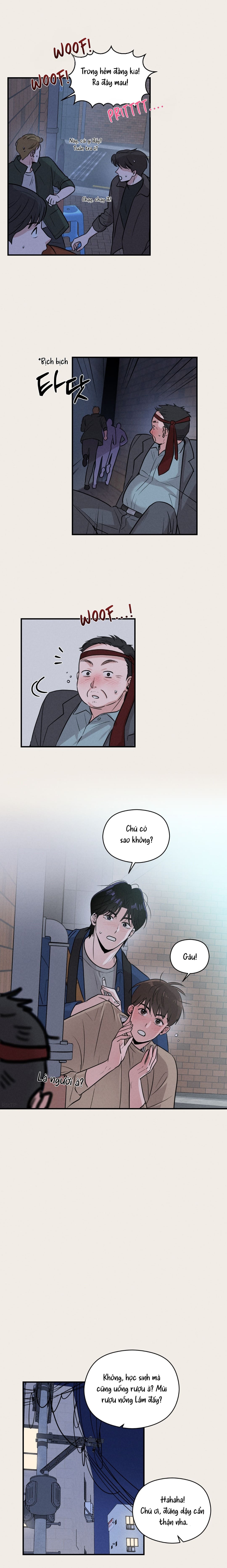 Báo Cáo Thanh Niên 1995 Chapter 6 - Trang 2