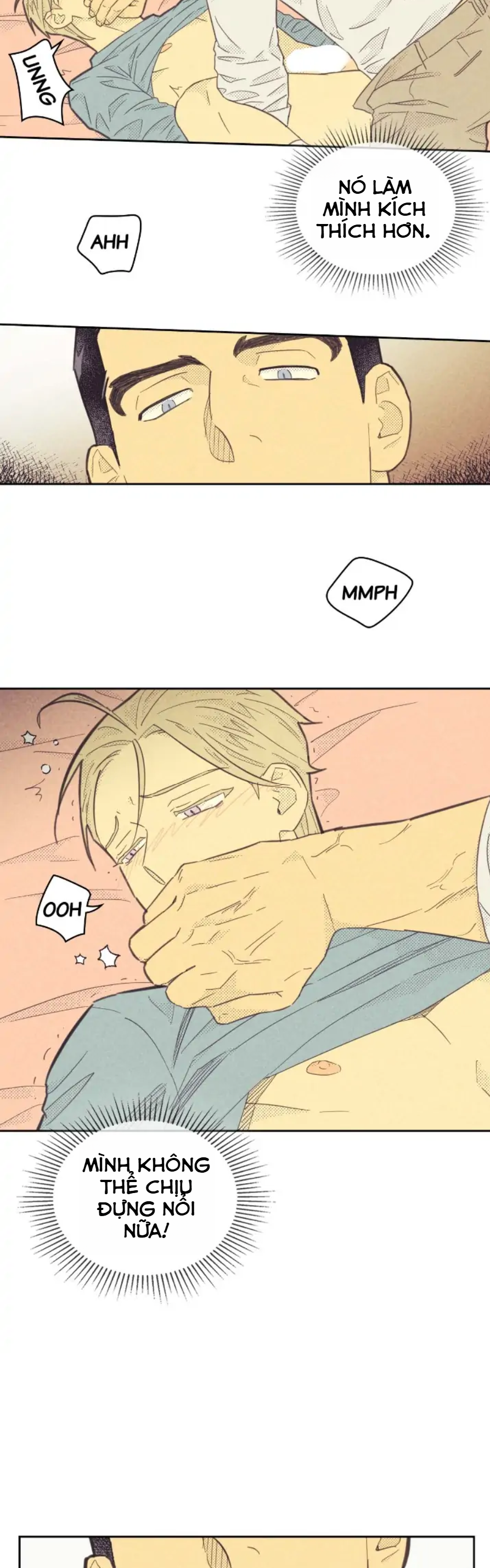 Sự Nghiệp Tròn Đầy, Tình Yêu Trọn Vẹn Chapter 3: H+ - Trang 2