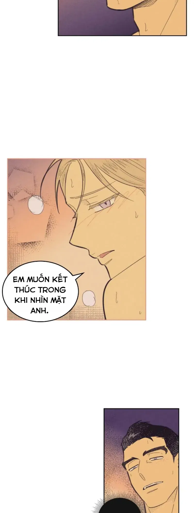 Sự Nghiệp Tròn Đầy, Tình Yêu Trọn Vẹn Chapter 8: H+ - Next 