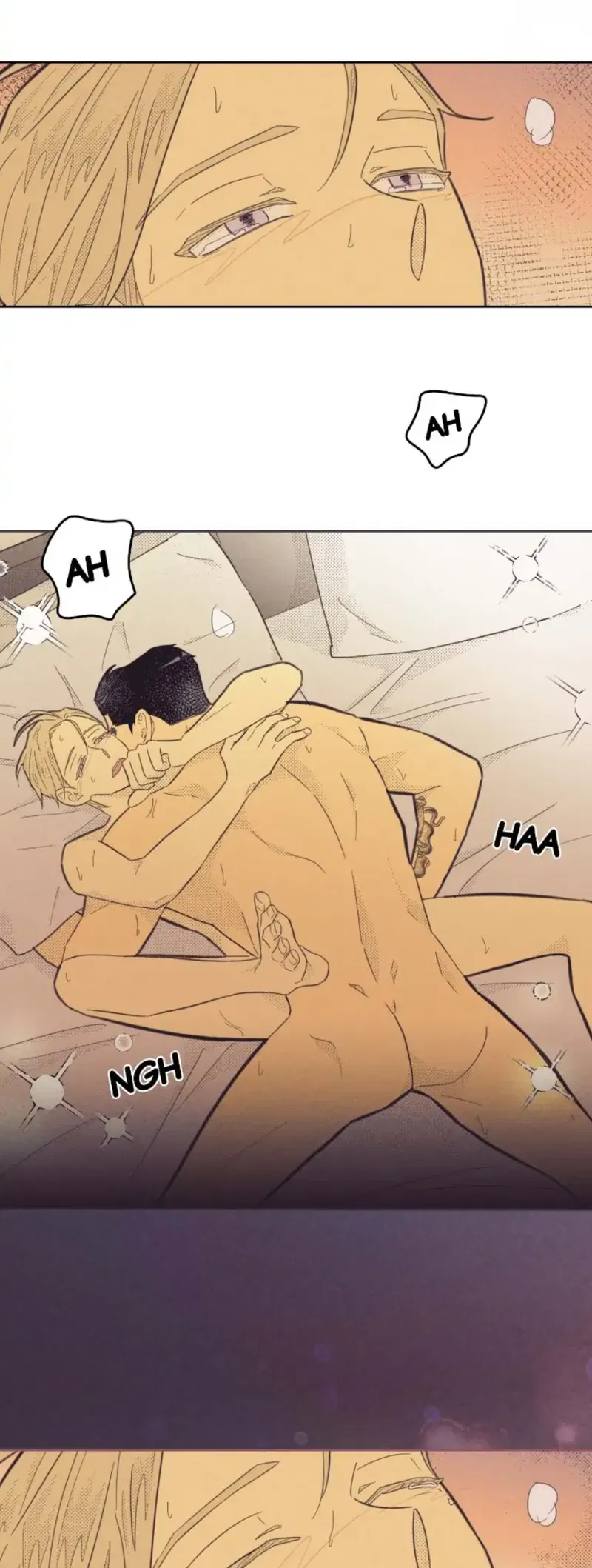 Sự Nghiệp Tròn Đầy, Tình Yêu Trọn Vẹn Chapter 8: H+ - Next 