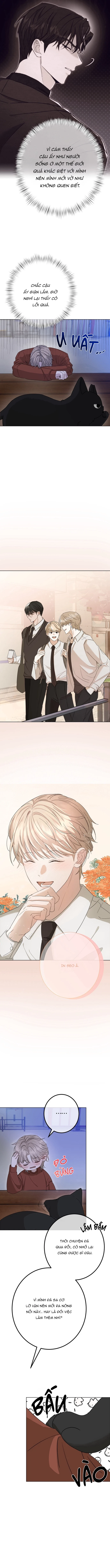 Kiểm Soát, Ám Ảnh, Tình Yêu Chapter 1 H - Next Chapter 2 H