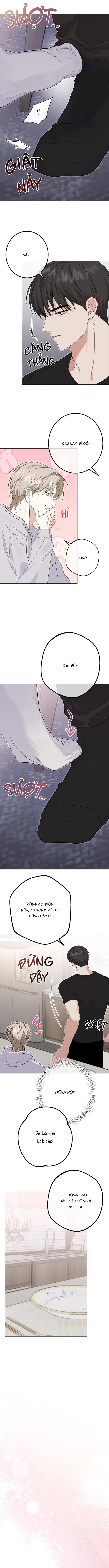 Kiểm Soát, Ám Ảnh, Tình Yêu Chapter 4 - Next Chapter 5 H+