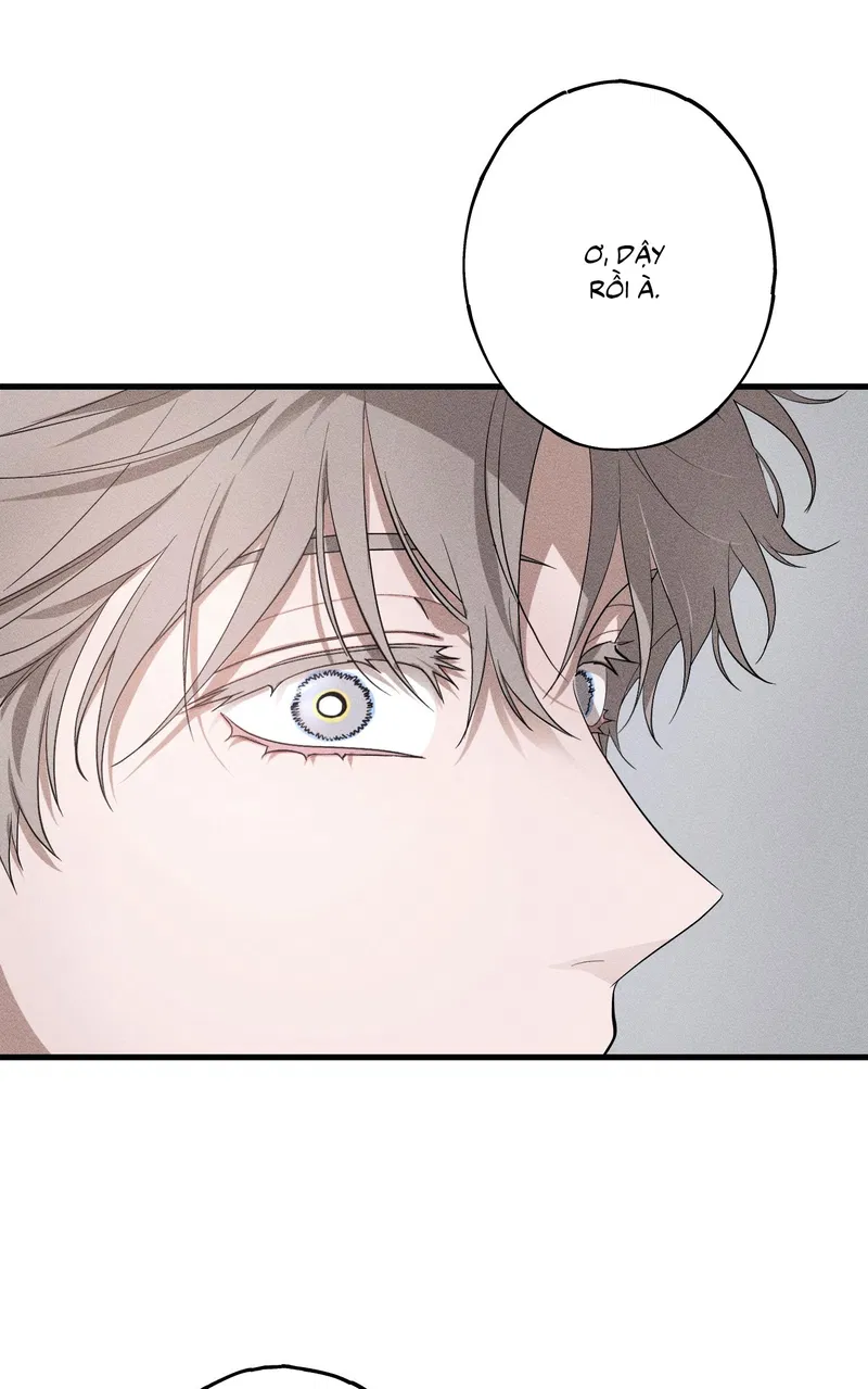 Đừng Ném Đá Vào Cây Cầu Đá Chapter 10 END - Trang 2