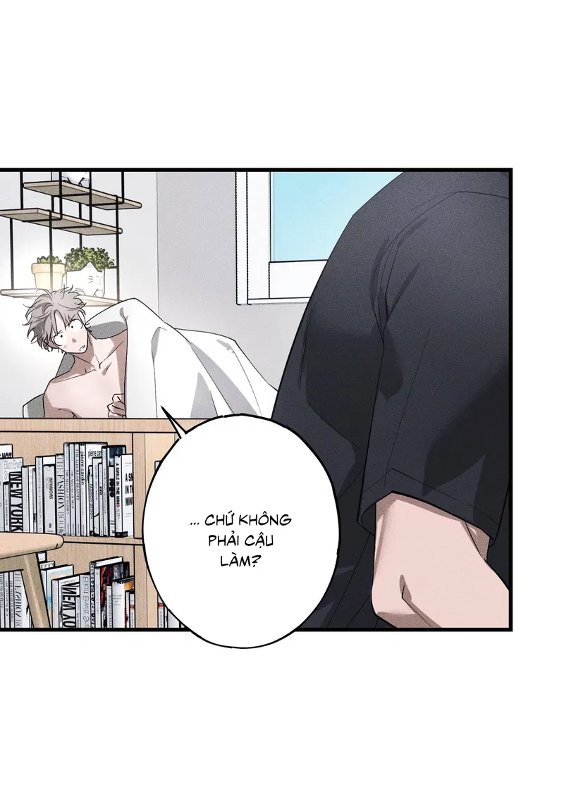Đừng Ném Đá Vào Cây Cầu Đá Chapter 10 END - Trang 2