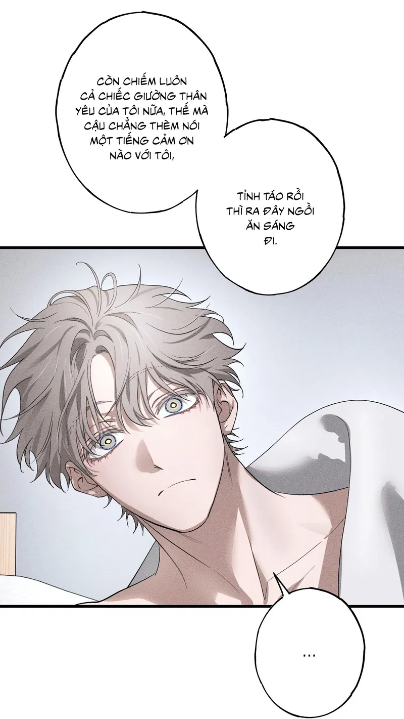 Đừng Ném Đá Vào Cây Cầu Đá Chapter 10 END - Trang 2