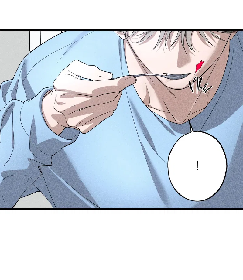Đừng Ném Đá Vào Cây Cầu Đá Chapter 10 END - Trang 2