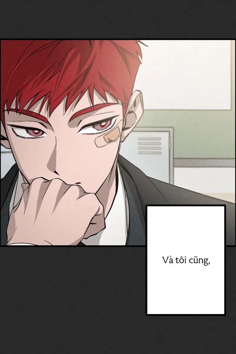 Đừng Ném Đá Vào Cây Cầu Đá Chapter 2 - Trang 2