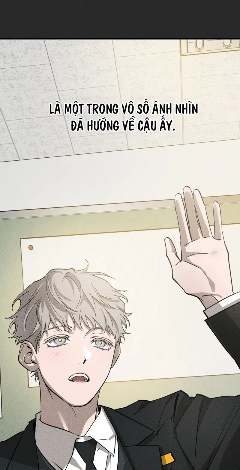 Đừng Ném Đá Vào Cây Cầu Đá Chapter 2 - Trang 2