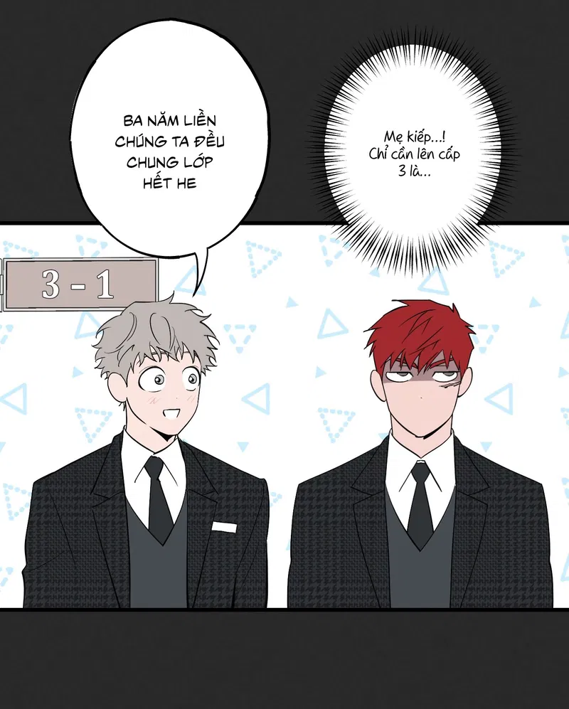 Đừng Ném Đá Vào Cây Cầu Đá Chapter 2 - Trang 2