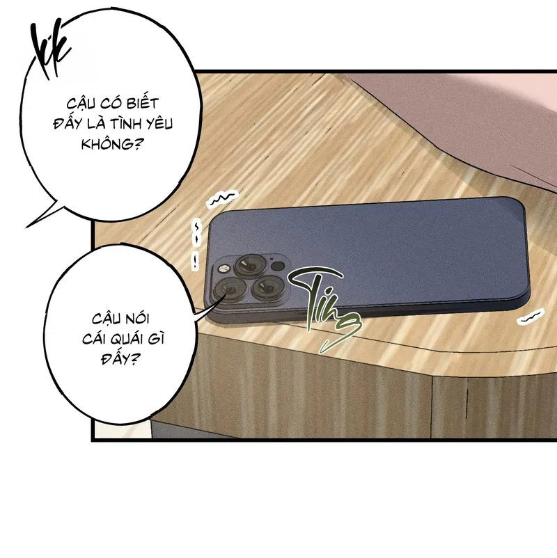 Đừng Ném Đá Vào Cây Cầu Đá Chapter 2 - Trang 2