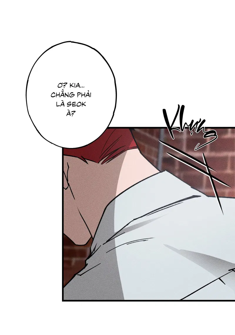 Đừng Ném Đá Vào Cây Cầu Đá Chapter 3 - Trang 2